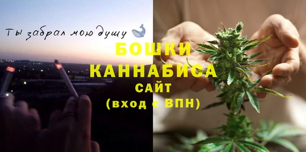 мдпв Зеленодольск