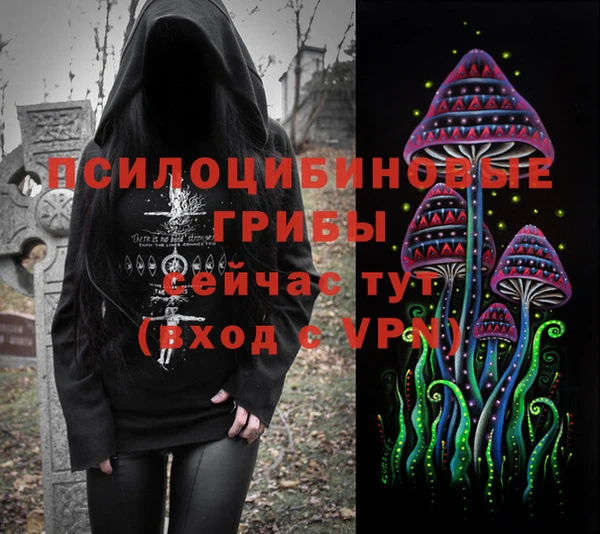 марки nbome Туринск