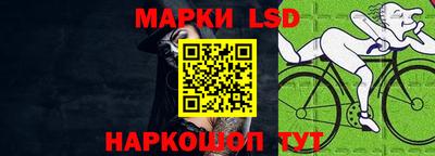 индика Гагарин