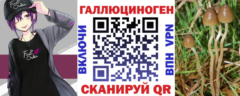 цены   Пушкино  Галлюциногенные грибы GOLDEN TEACHER 