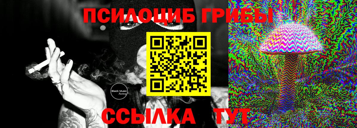 Псилоцибиновые грибы Cubensis Пушкино