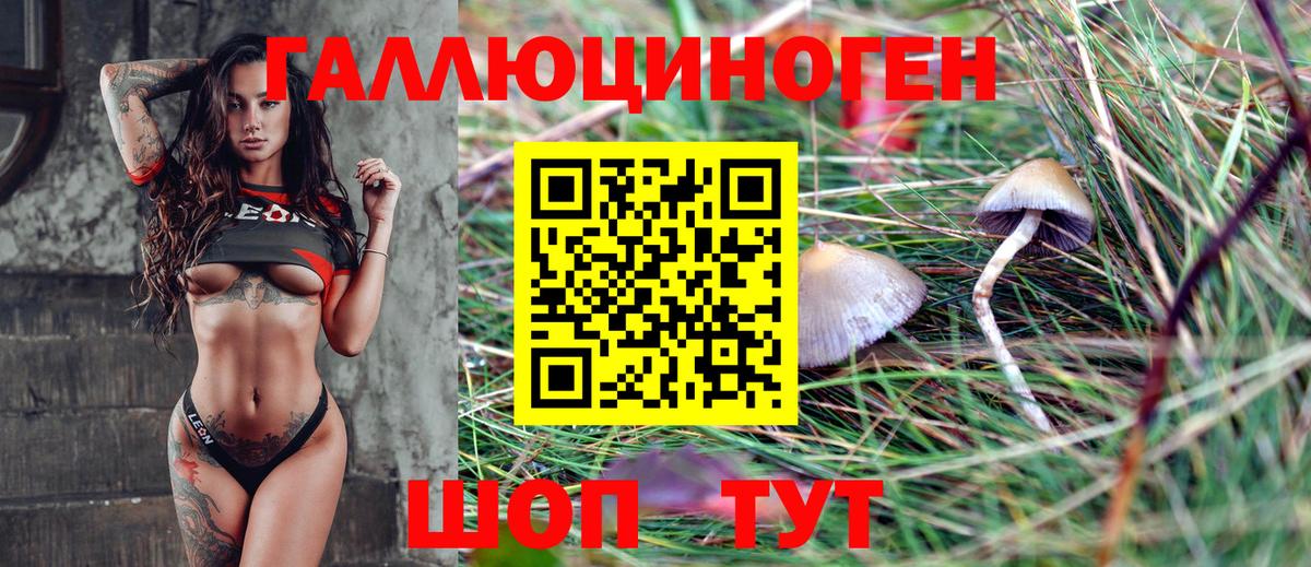 Галлюциногенные грибы Magic Shrooms Пушкино