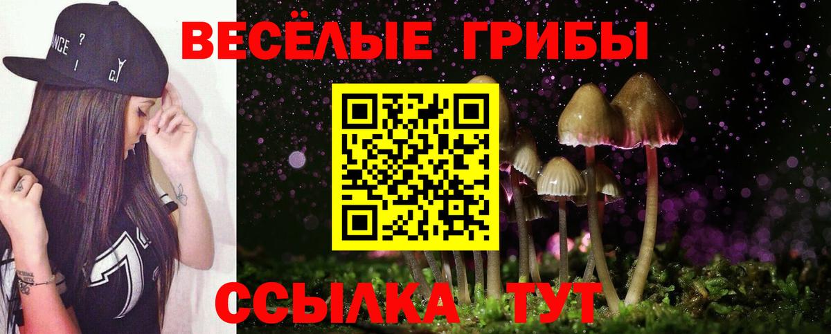 Пушкино  Псилоцибиновые грибы мицелий  Вход с VPN 